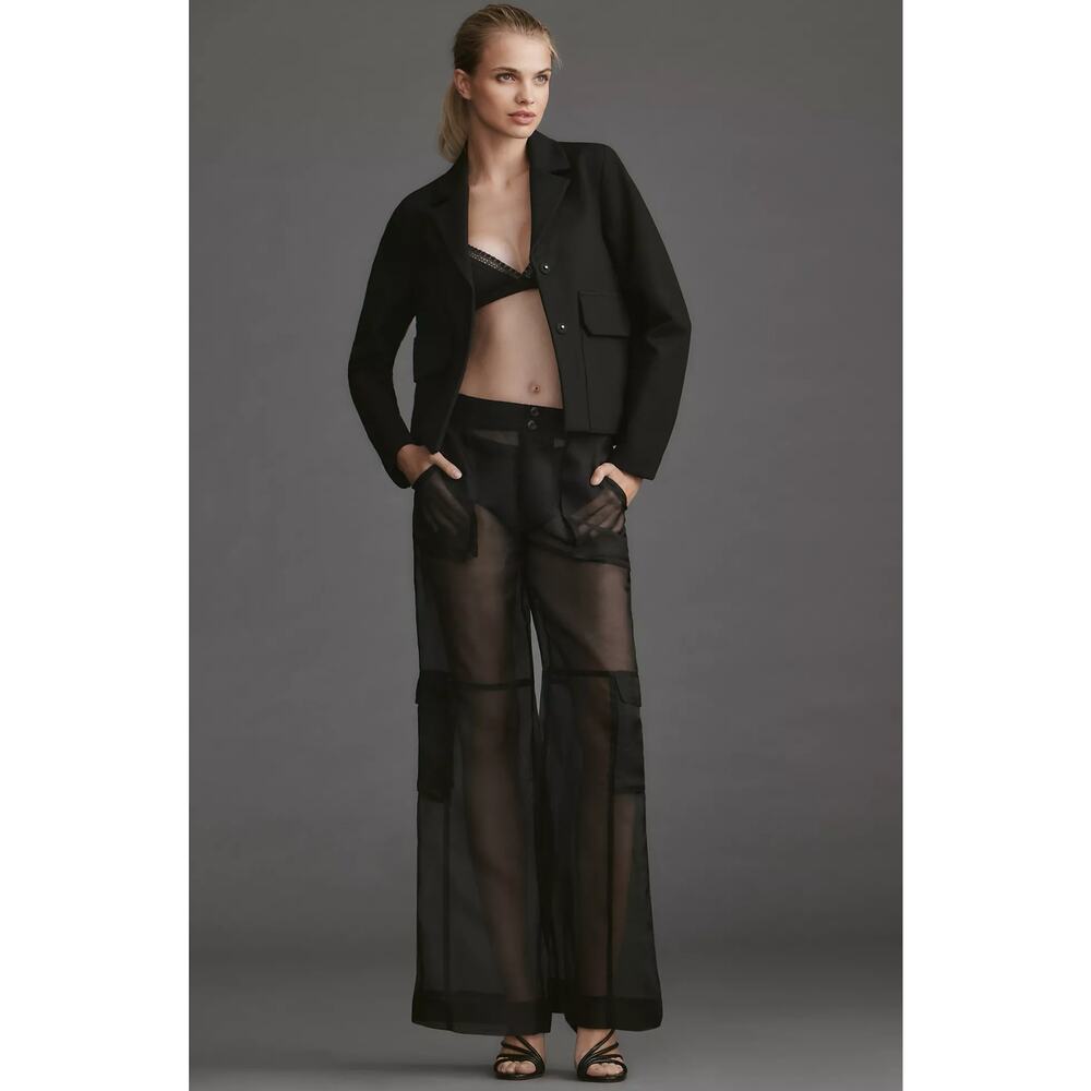 Anthropologie Black Sheer Wide-Leg Pants